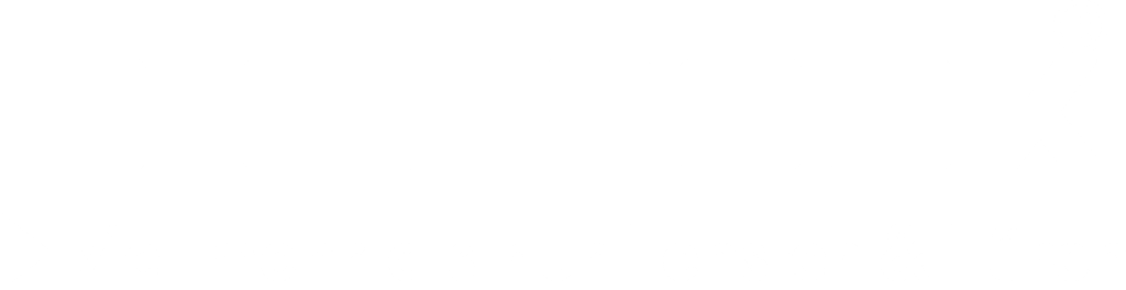 Logo weiß web